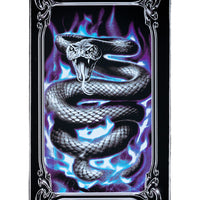 MINI - DASHAWN JORDAN - DIAMOND BACK