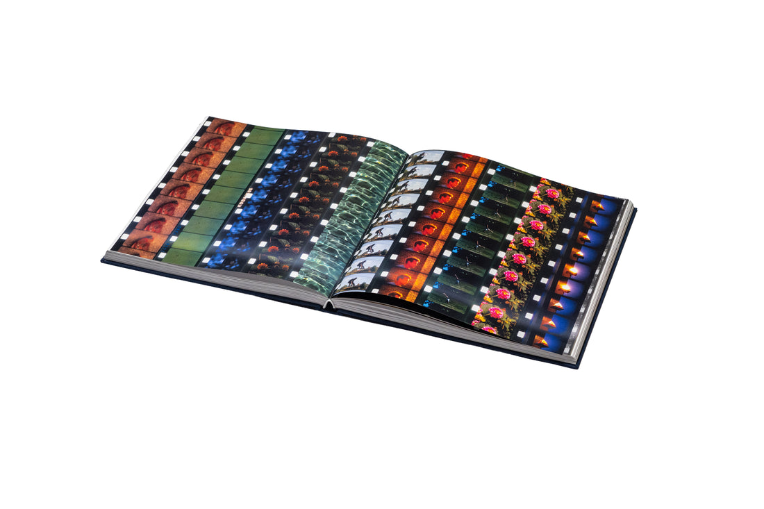 PAUSE - CHRIS MIDDLEBROOK - 1990 - 2025