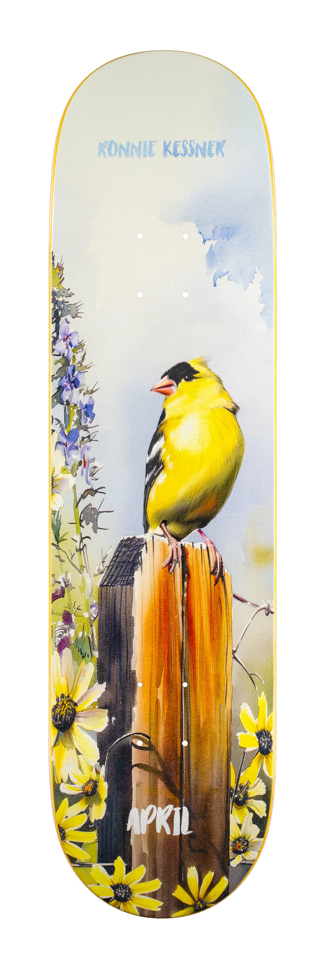 RONNIE KESSNER - GOLD FINCH