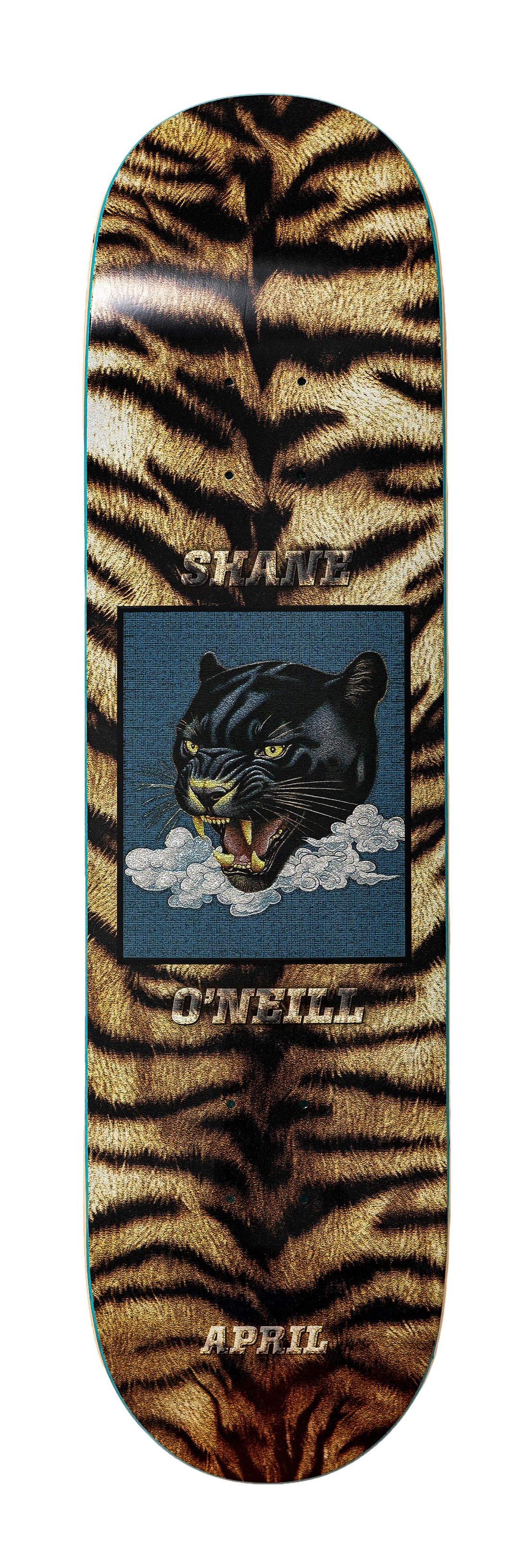 SHANE O'NEILL - LEOPARD