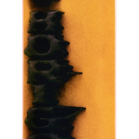 YUTO HORIGOME - STAMP - ORANGE