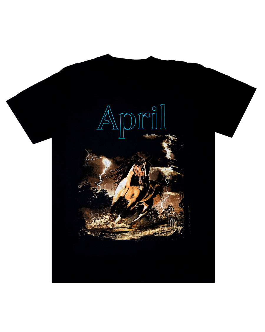 STALLION TEE